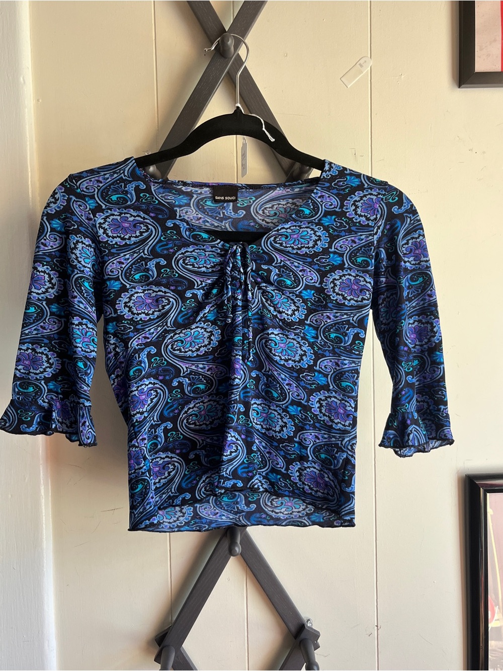 Sans Souci Blue & Purple Paisley Crop Top